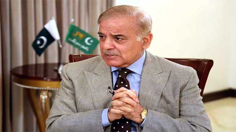 UAE investors' delegation call on PM Shehbaz 