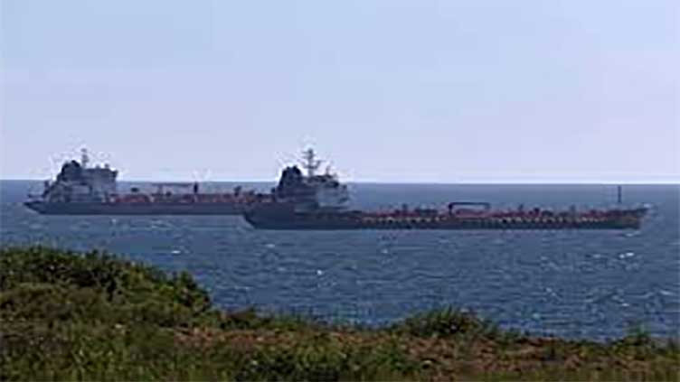 Thirsty elephants rampage through north Cameroon city