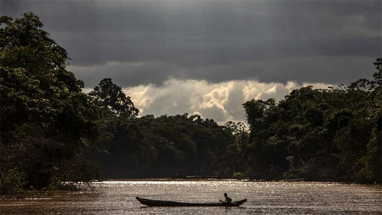 'Patrol' film exposes Nicaragua forest threat from beef industry