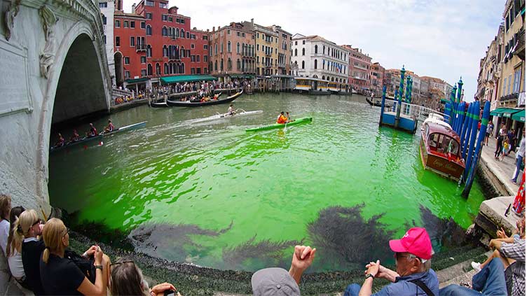 Venice's Grand Canal turns bright green due to fluorescein