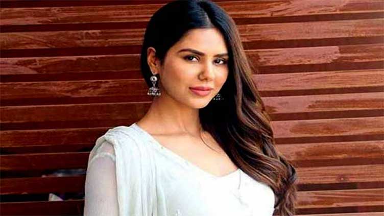 Sonam Bajwa refuses Bollywood film due to 'indecent scenes'