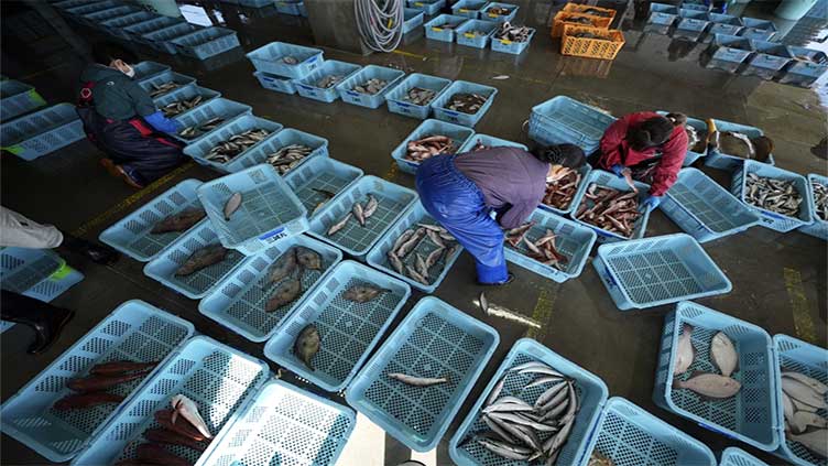 Japanese consumers are eating more local fish in spite of China's ban due to Fukushima wastewater