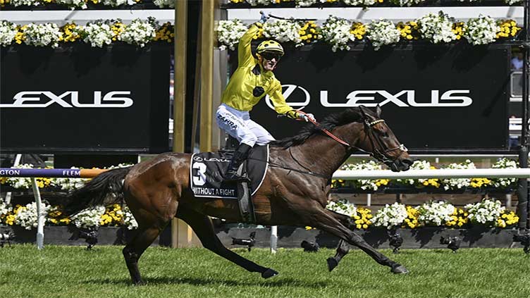 Horse racing: Without A Fight wins Melbourne Cup as jockey Zahra triumphs again