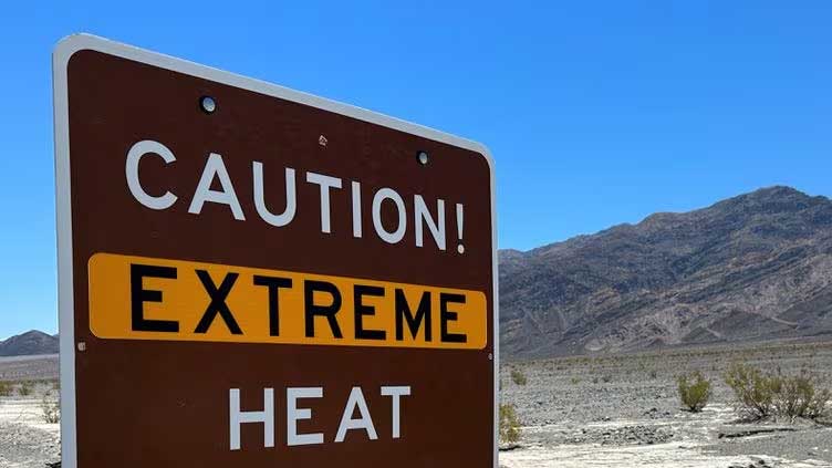 This year 'virtually certain' to be warmest in 125,000 years, EU scientists say