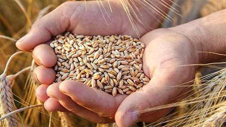 Punjab fixes wheat, sugarcane prices 