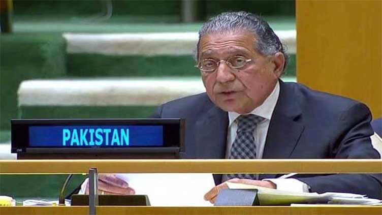 UNGA adopts Pakistan's resolution reaffirming right to self-determination
