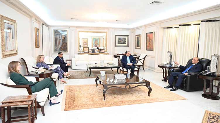 Asif Zardari expresses concern over 'level playing field' in meeting with British envoy