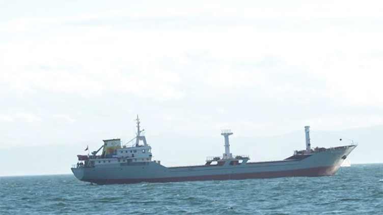 Turkish cargo ship with 12 crew sinks in Black Sea