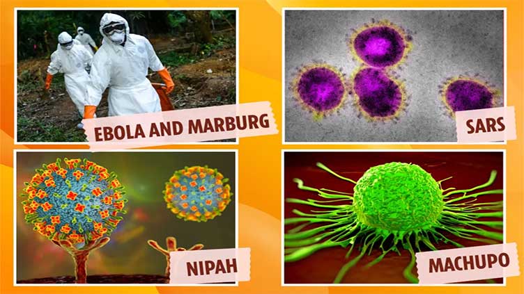 Experts reveal 4 viruses that could trigger next pandemic – from brain-swelling 'flu' to an eye-bleeding fever