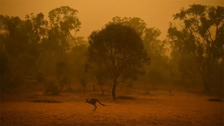 Australia swelters through 'scorching' heat lifting bushfire risk