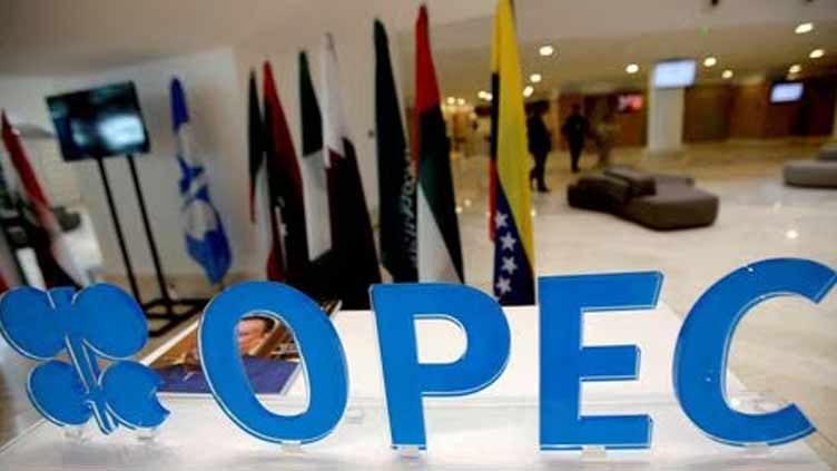 OPEC optimistic on demand, calls for more oil and gas investment