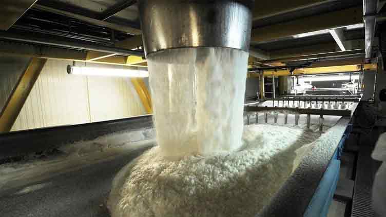 Global sugar prices hit 13-year high due to El Nino fallout: FAO