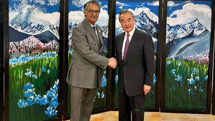 China-Pakistan relations maintaining sound momentum of development: Wang Yi