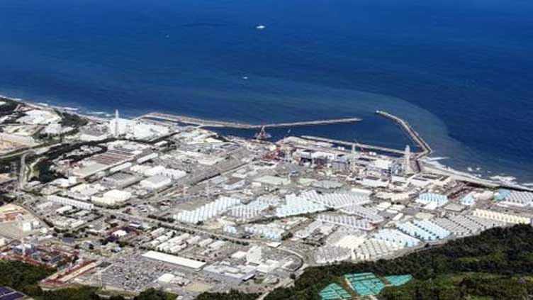 IAEA panel will visit Fukushima nuclear plant later this month