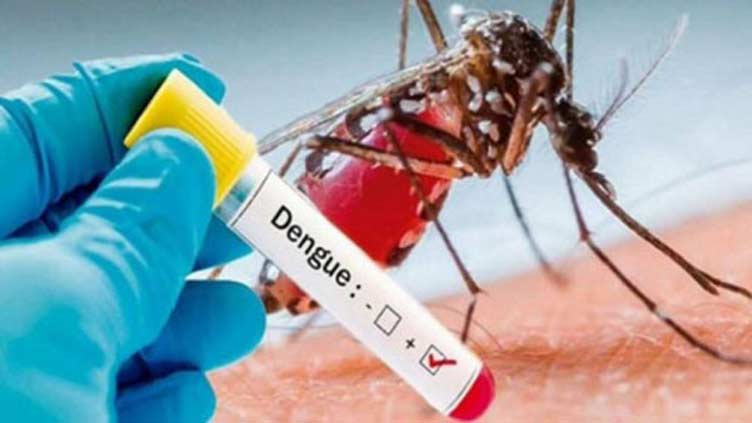 Punjab reports 143 new dengue cases