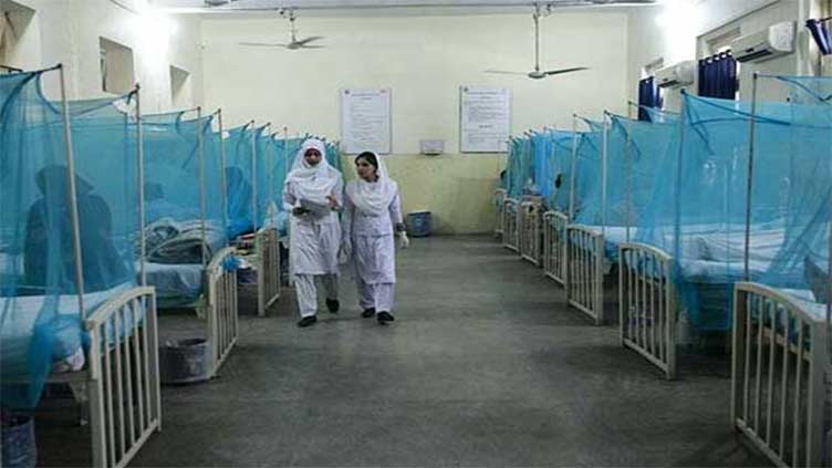 Dengue virus infects 41 more in Rawalpindi