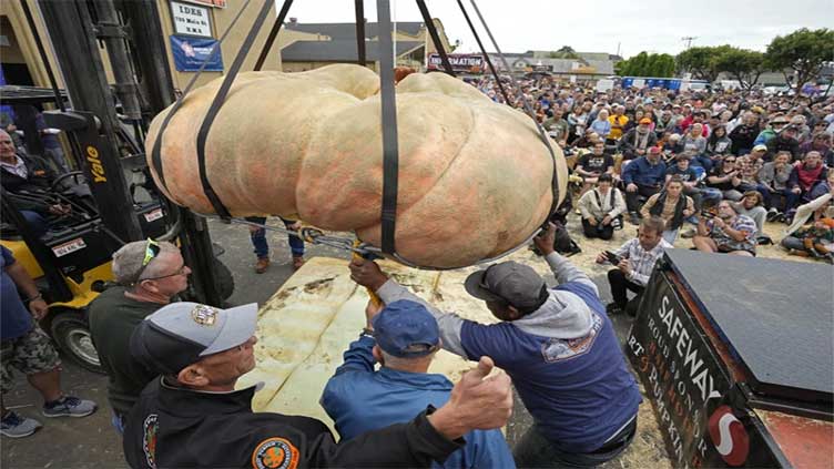 Pumpkin weighing 2,749 pounds wins California contest, sets world record for biggest gourd