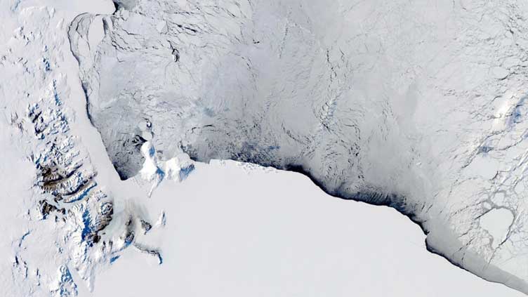 Over 40pc of Antarctica's ice shelves lost mass in 25 years: study