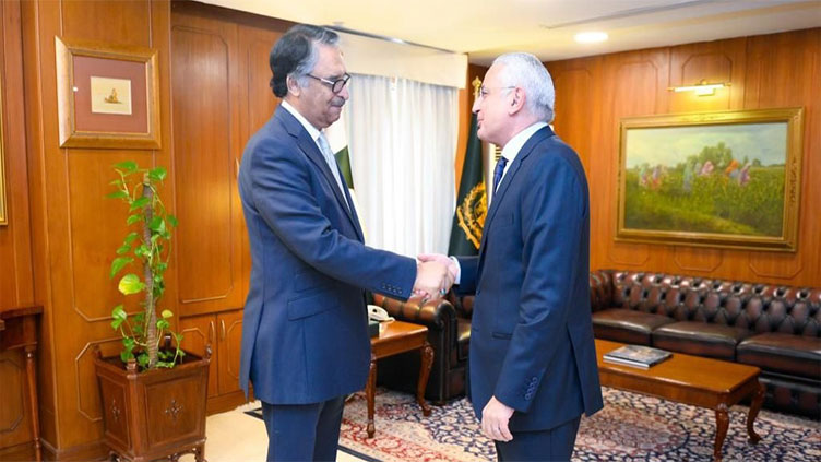 Egyptian ambassador pays farewell call on FM Jilani