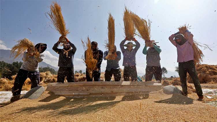 India reviewing floor price for basmati rice exports