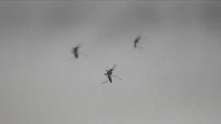 Scientists infect volunteers with Zika