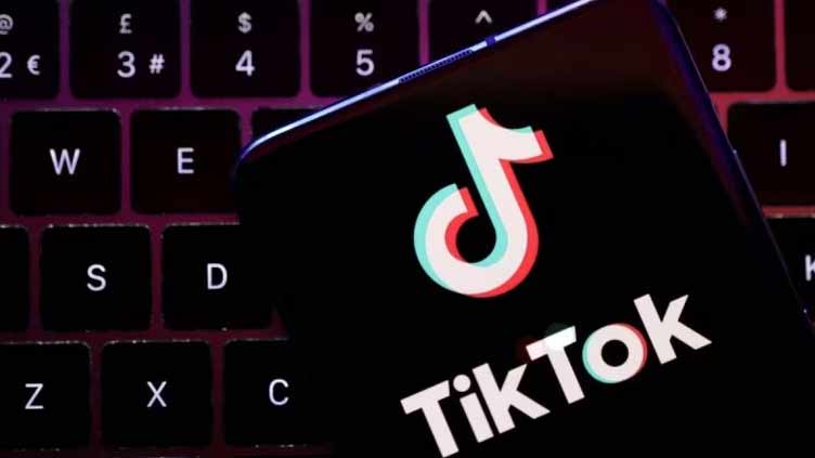 TikTok, YouTube, Meta eye Indonesia e-commerce licenses