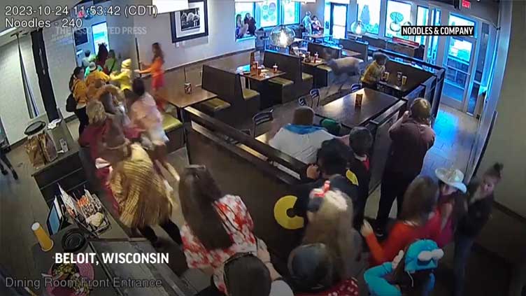 Deer charges through crowded Wisconsin restaurant. What happened next