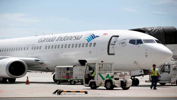 Indonesia conducts first commercial flight using palm oil-blended jet fuel