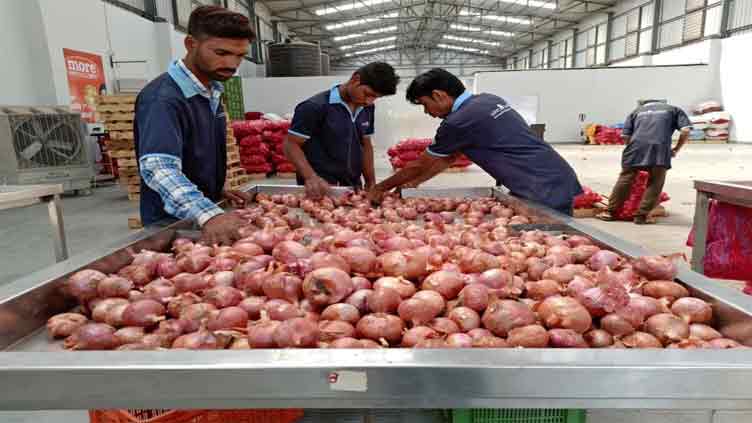 India sets $800 per tonne minimum export price to ensure domestic supply