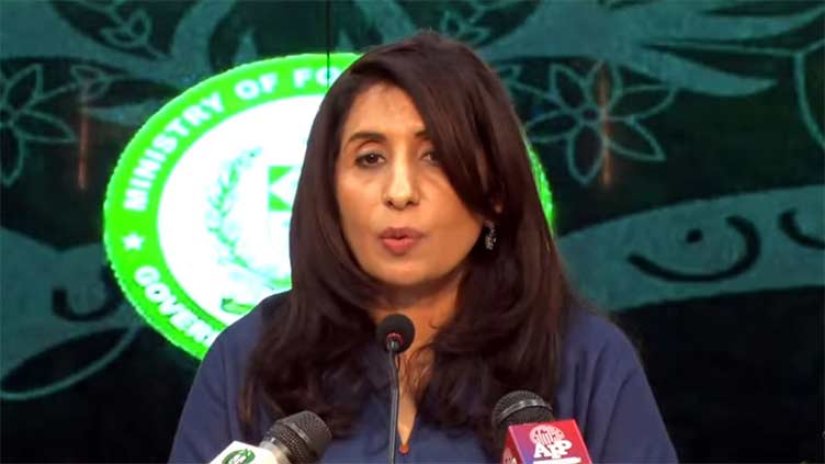 Decision to deport illegal foreigners in line with sovereign laws, int'l norms: FO
