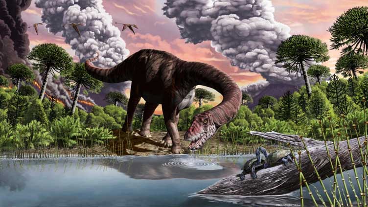Asteroid dust caused 15-year winter that killed dinosaurs: study