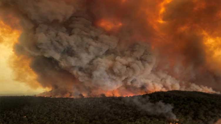 Two dead, dozens of homes destroyed as bushfires rage across eastern Australia