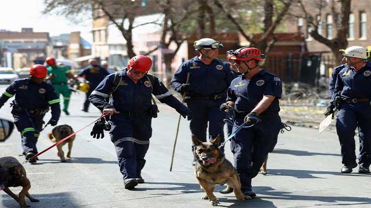 Sniffer dogs search for clues in ashes of deadly South African fire