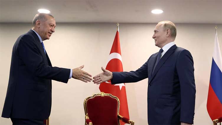 Erdogan takes grain diplomacy to Putin in Sochi