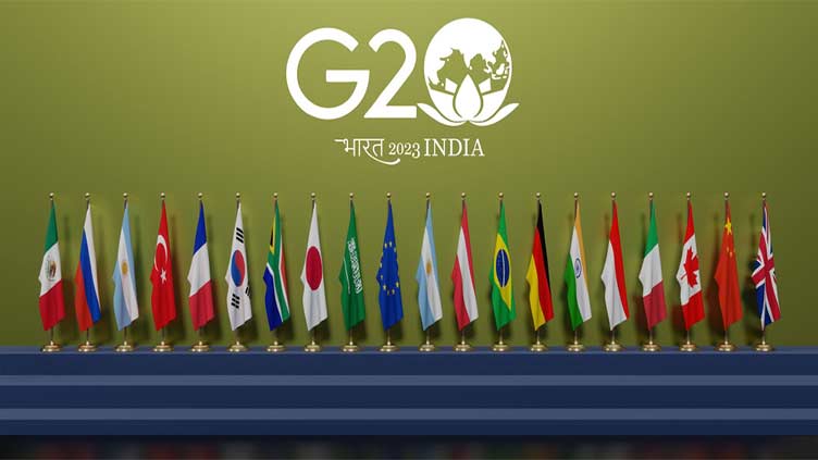 What is the G20 and what are the key issues for the 2023 Delhi summit?