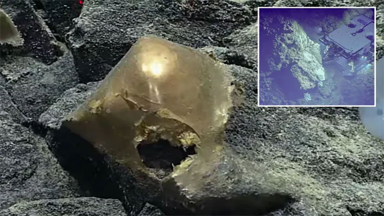 Mysterious 'shiny golden egg' is found at the bottom of the sea 