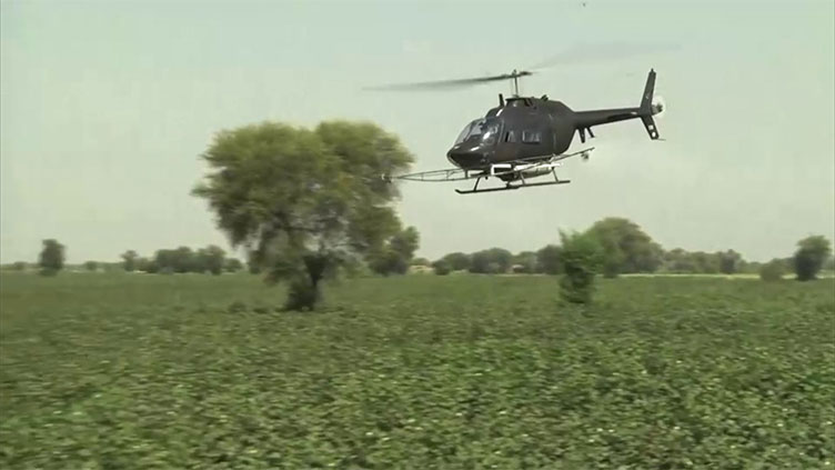 Army aviation helicopters, drones carry out spray against whitefly in Jampur