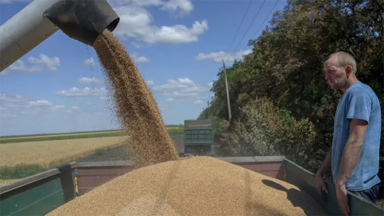 Poland, Hungary, Slovakia defy end of EU Ukraine grain import ban