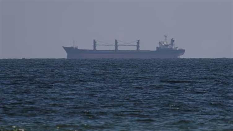 Two ships arrive in Ukraine port to load grain