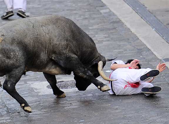 Man dies after being gored by bull at Spanish festival - Sports - Dunya ...