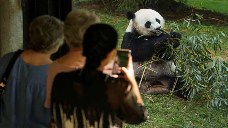 US National Zoo bids farewell to pandas as government shutdown looms