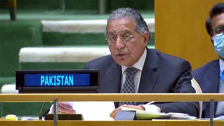 Pakistan committed to a world without nukes, peaceful S. Asia: Munir Akram