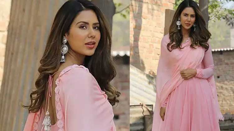 Sonam Bajwa slays in pink outfit