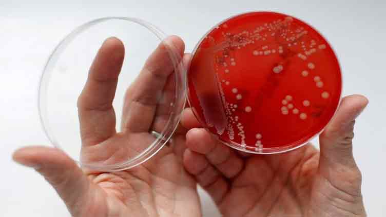 Newer antibiotic effective against deadly staph infection in trial
