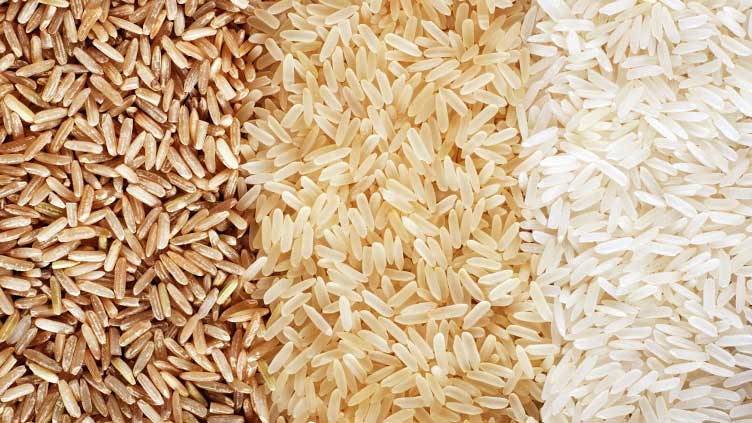 Punjab to export rice worth $2bn during ongoing year