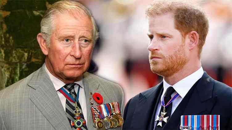 Will children of Prince Harry meet Prince Charles? 