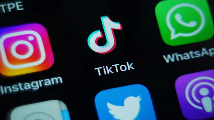 TikTok launches new science subjects feed to engage youth