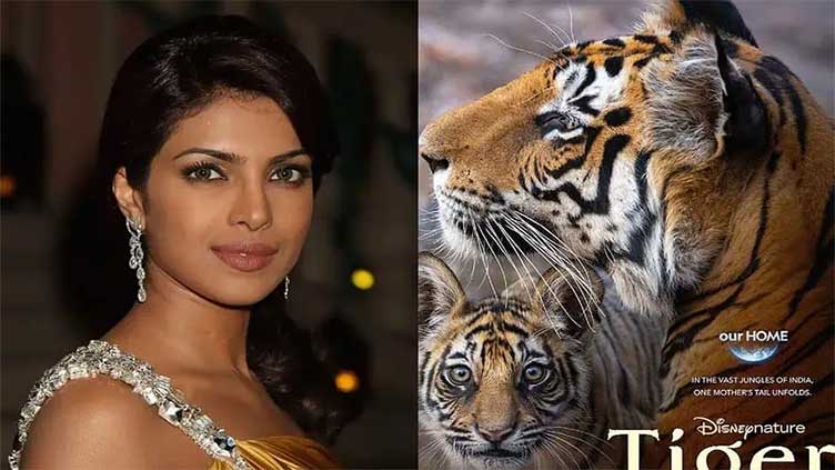 Priyanka announces release date of her new film 'Tiger'