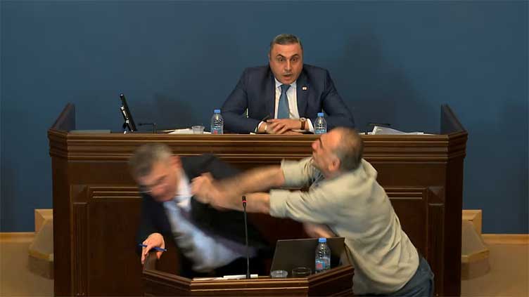 Lawmakers brawl as Georgian parliament considers 'foreign agent' bill