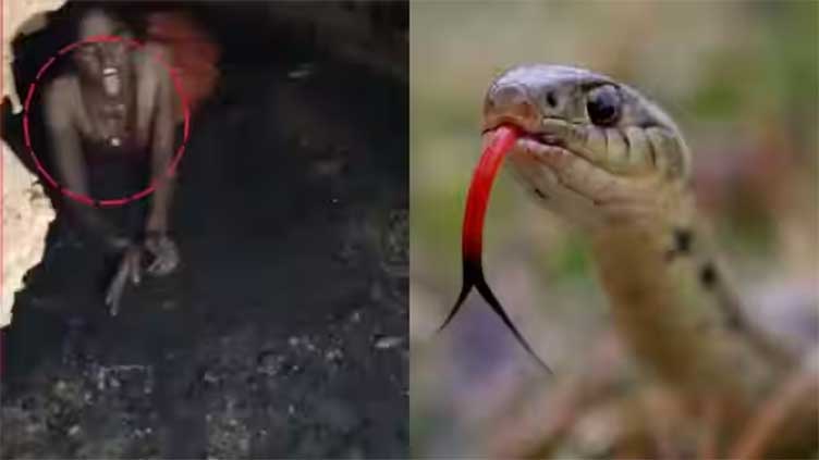 Girl missing for three months found behaving like snake in cave